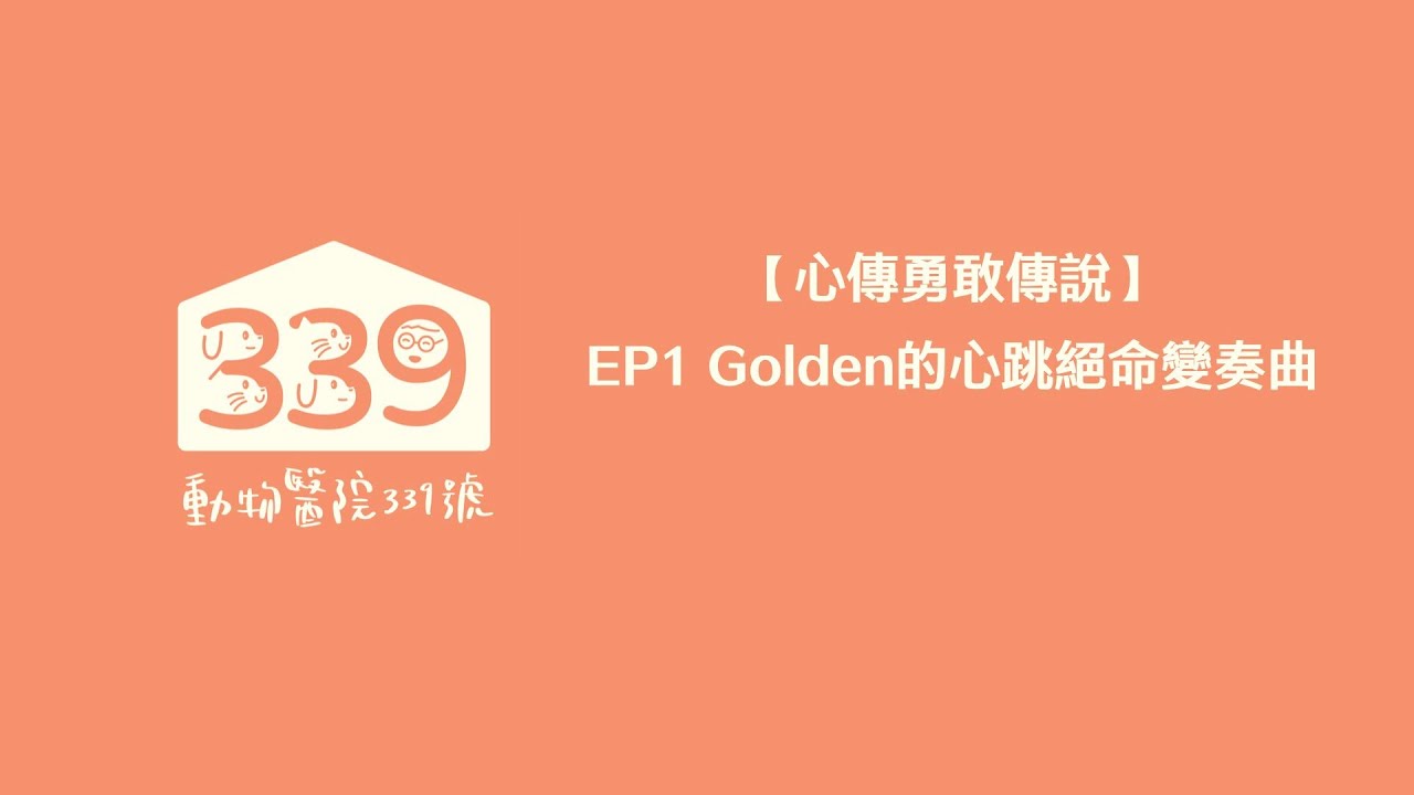 【心傳勇敢傳說】EP1 Golden的心跳絕命變奏曲