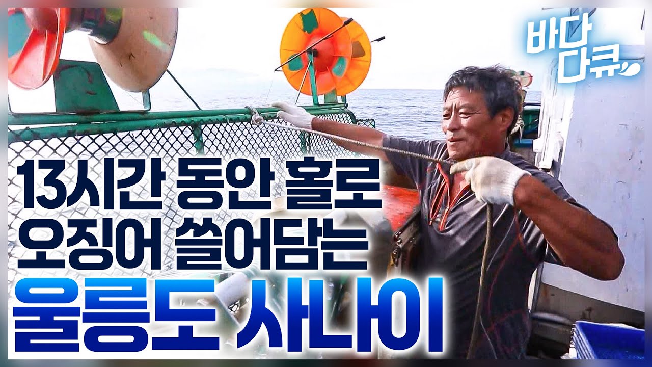 나 홀로 출항하고 어창 가득 오징어 채워오는 선장님 / 울릉도 오징어잡이 / #바다다큐