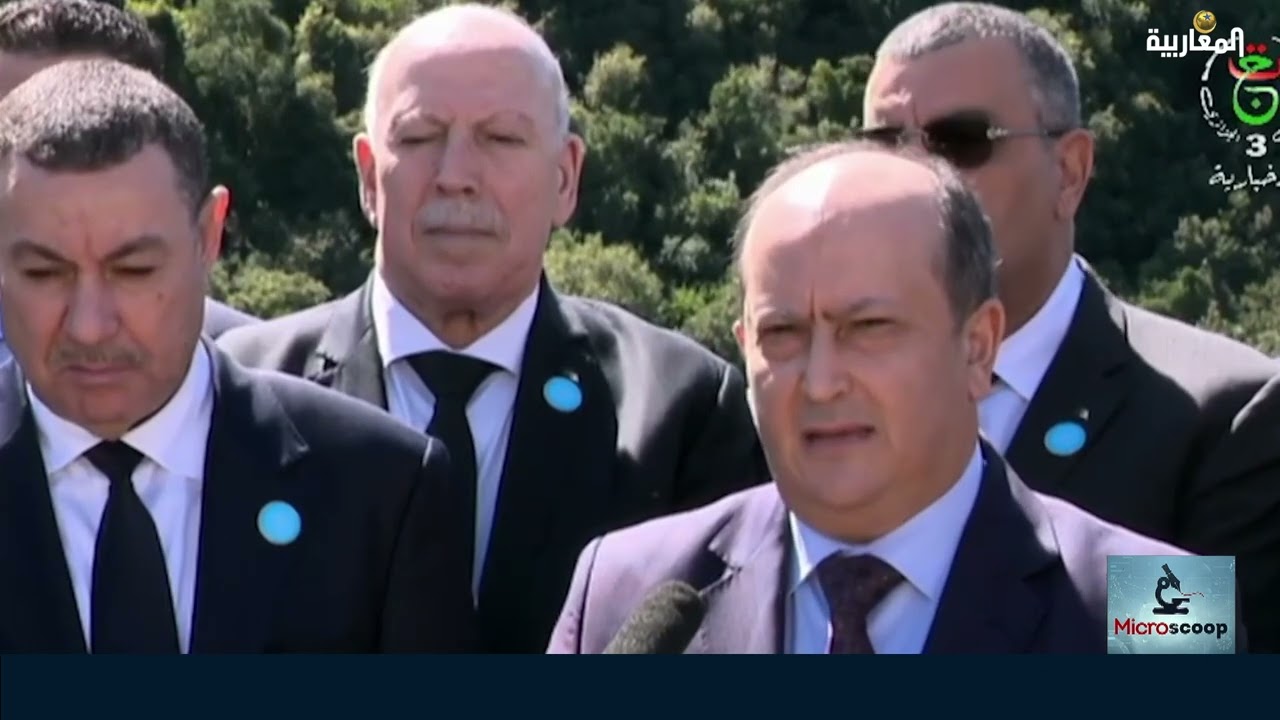 Mine de Tala Hamza-Amizour : un projet de développement ou une illusion pour