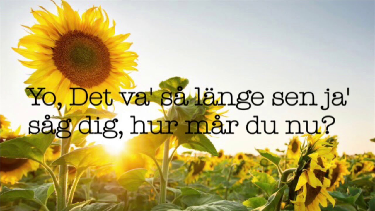 Hon dansar vidare i livet lyrics
