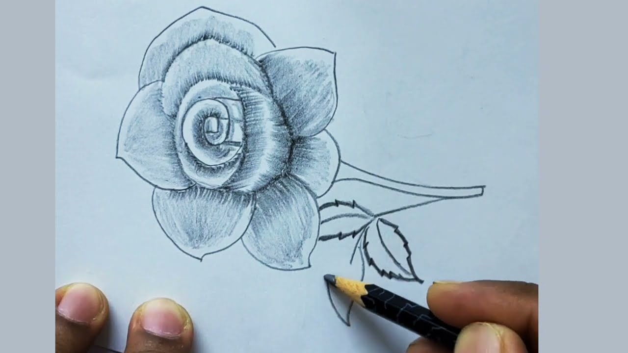 howtodraw beatifull flowers Rose drawing easy rose flowers arts howtodraw flowerdrawing easydrawing