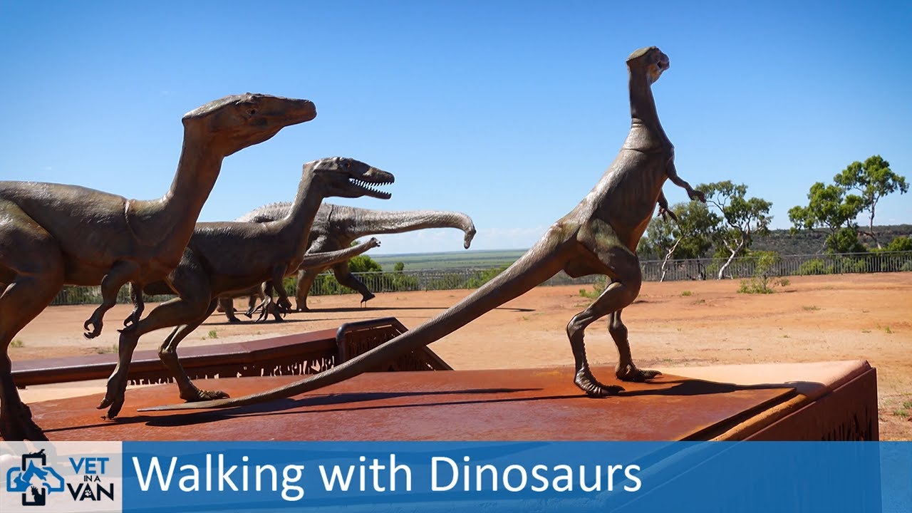 Discovering Dinosaurs in Winton, Queensland