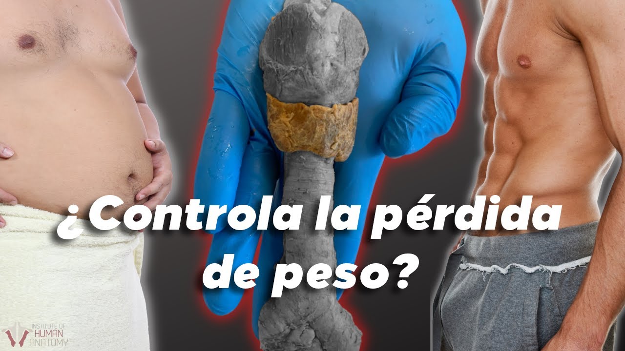 La PÉRDIDA de PESO, grasa y hacer el amor | La glándula que controla TODO...