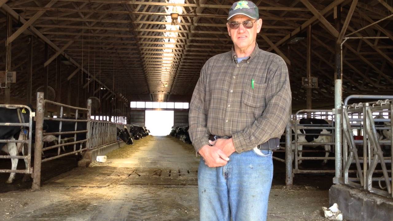 Manure Separation - Green Bedding Interview
