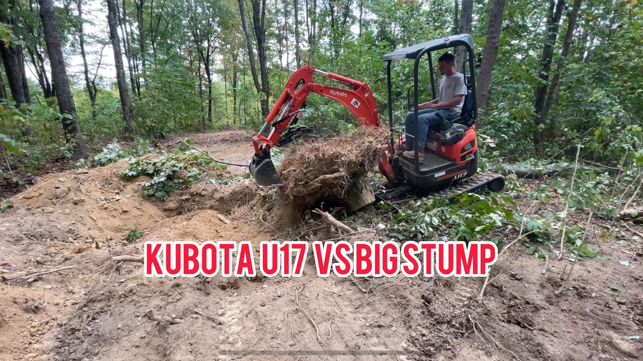 Digging around trees and pushing them over with the KUBOTA U17