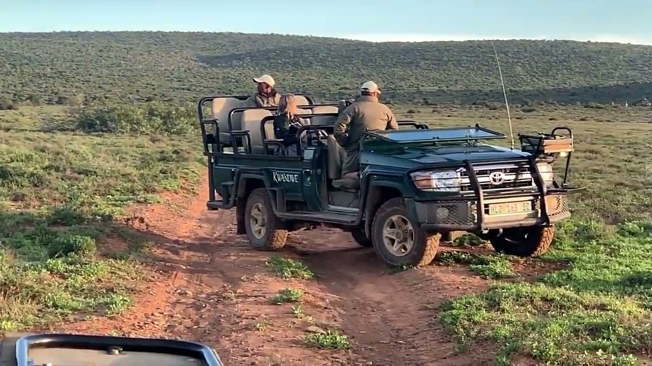 Kwandwe 2019