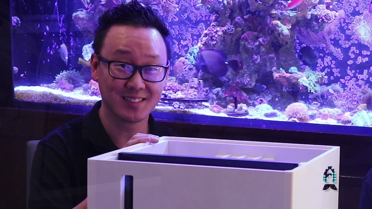 Reefs.com : Re-introducing methanol denitrifiers to the hobby.