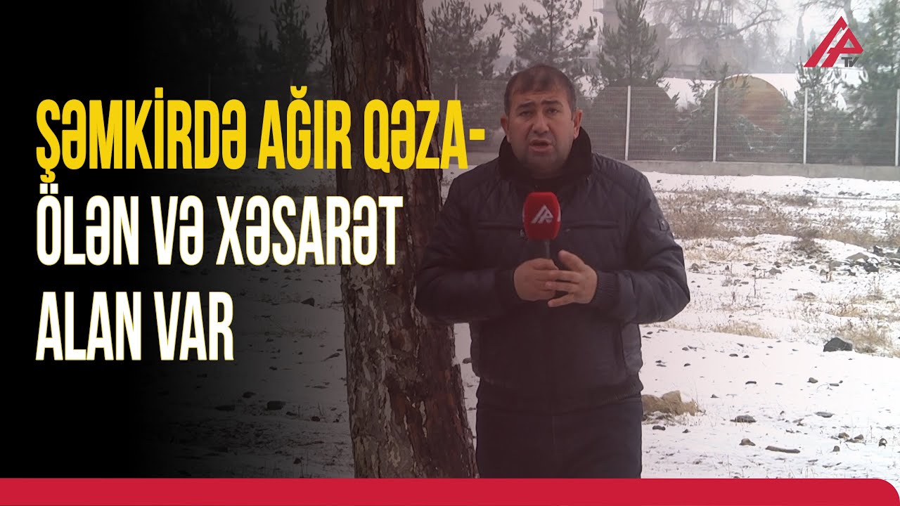 Şəmkirdə minik avtomobili ağaca çırpılıb | APA TV