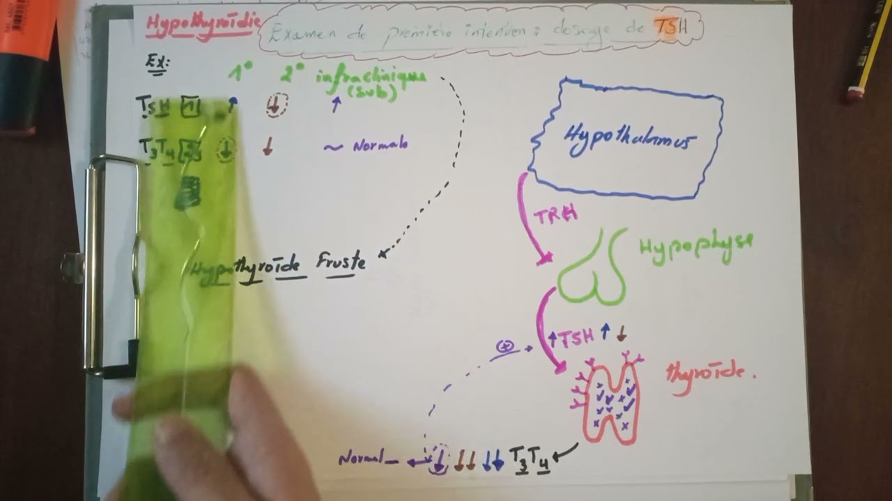 pourquoi toujours je dois doser le TSH en première intention dans un bilan thyroïdienne + GOITRE