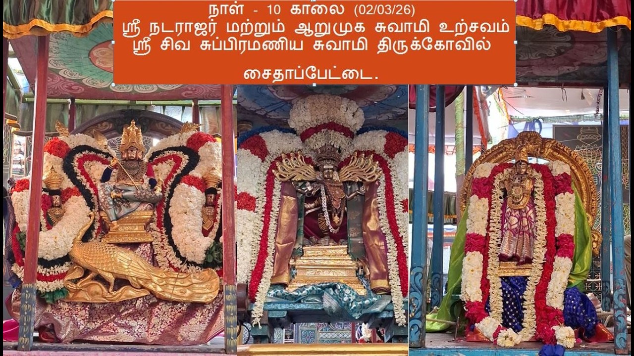 நாள் - 10 காலை(02/03/26)ஸ்ரீ நடராஜர் மற்றும் ஆறுமுக சுவாமி ஸ்ரீ சிவ சுப்பிரமணிய சுவாமி திருக்கோவில்.