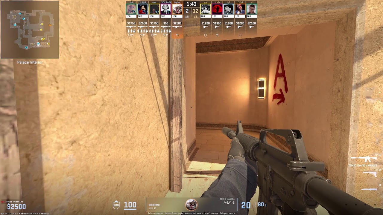 Adjara Cybersport Federation CS2 Tournament