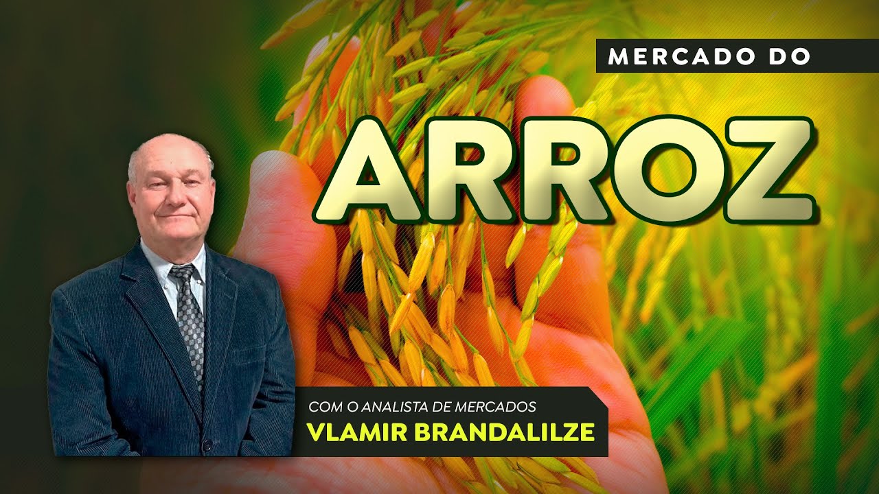 Preços do arroz vão subir? Reposições devem acontecer ao longo de agosto.