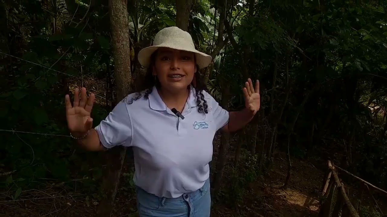 Raíces y Rutas: Mariposario en Paluato, Galapa Primera Parte - Por Universo Radio