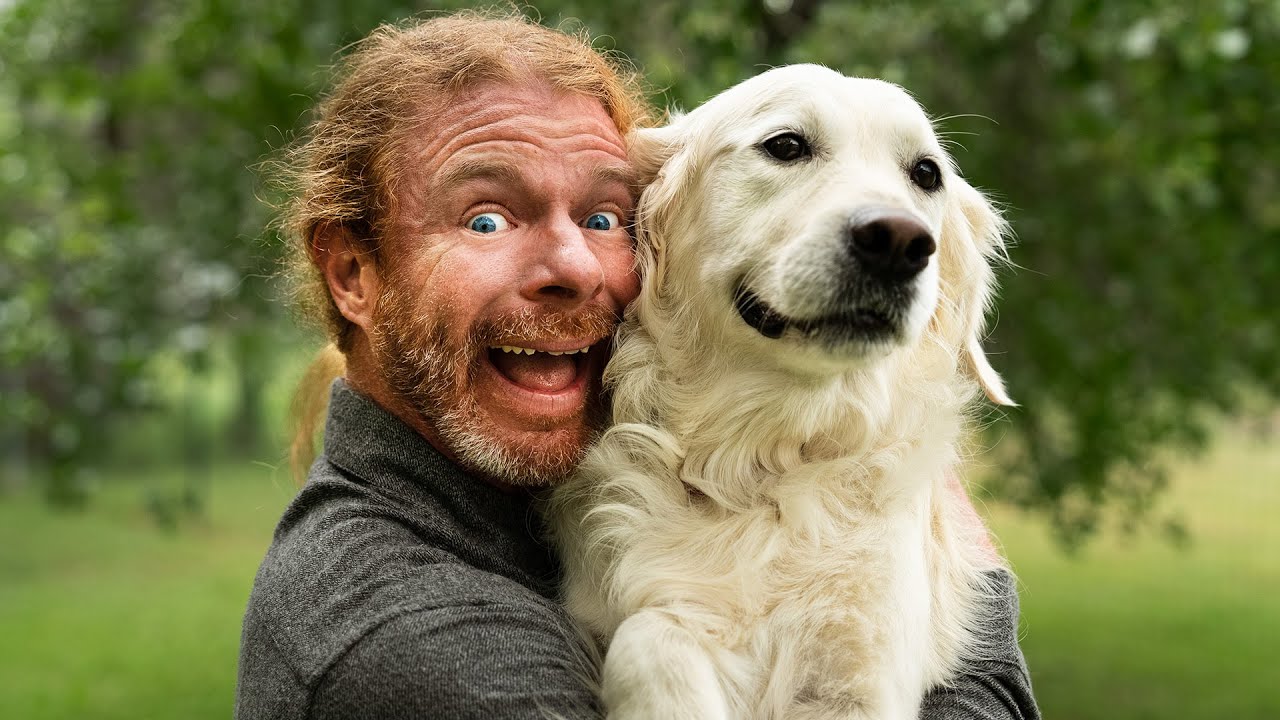 Как выглядят психопатичные любители собак