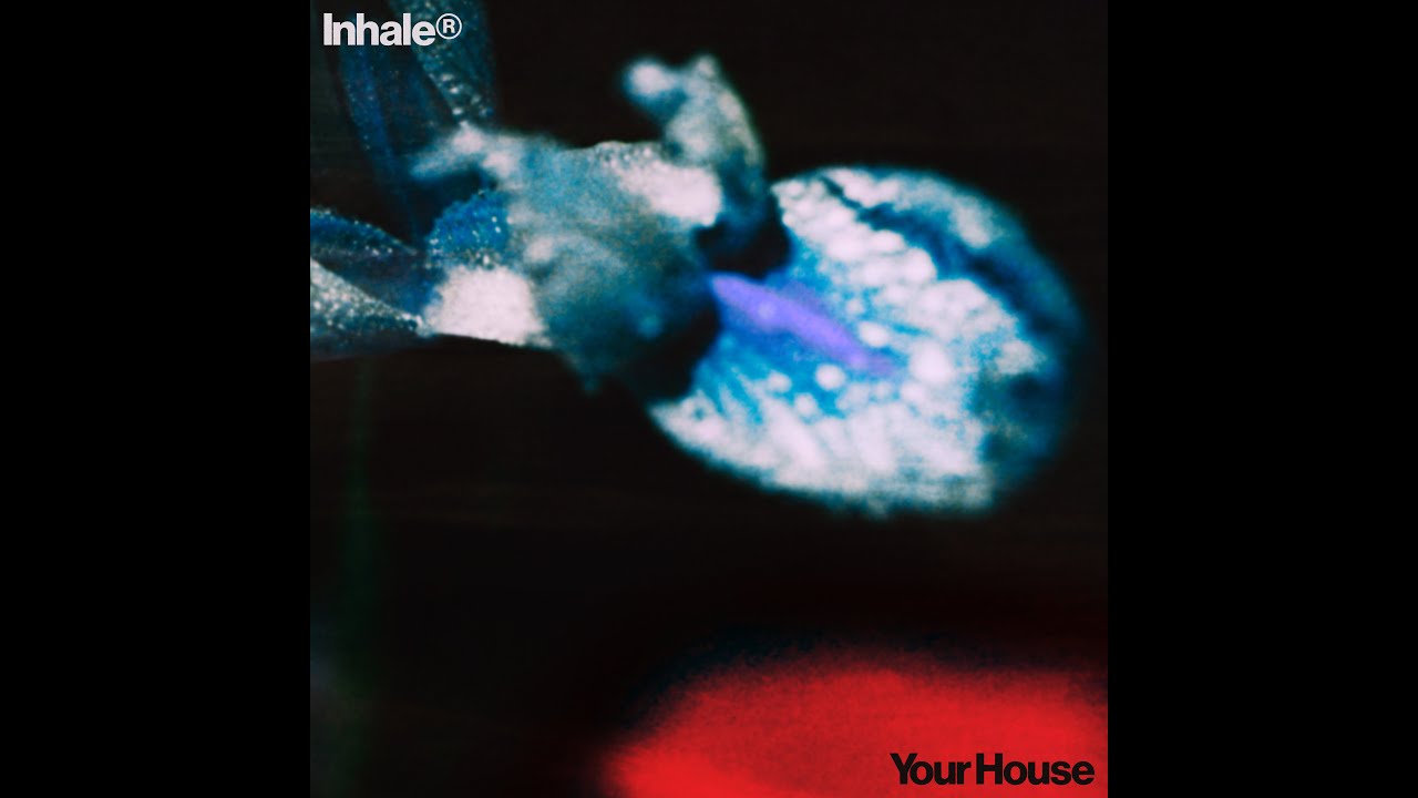 Inhaler - Your House (Lyrics)