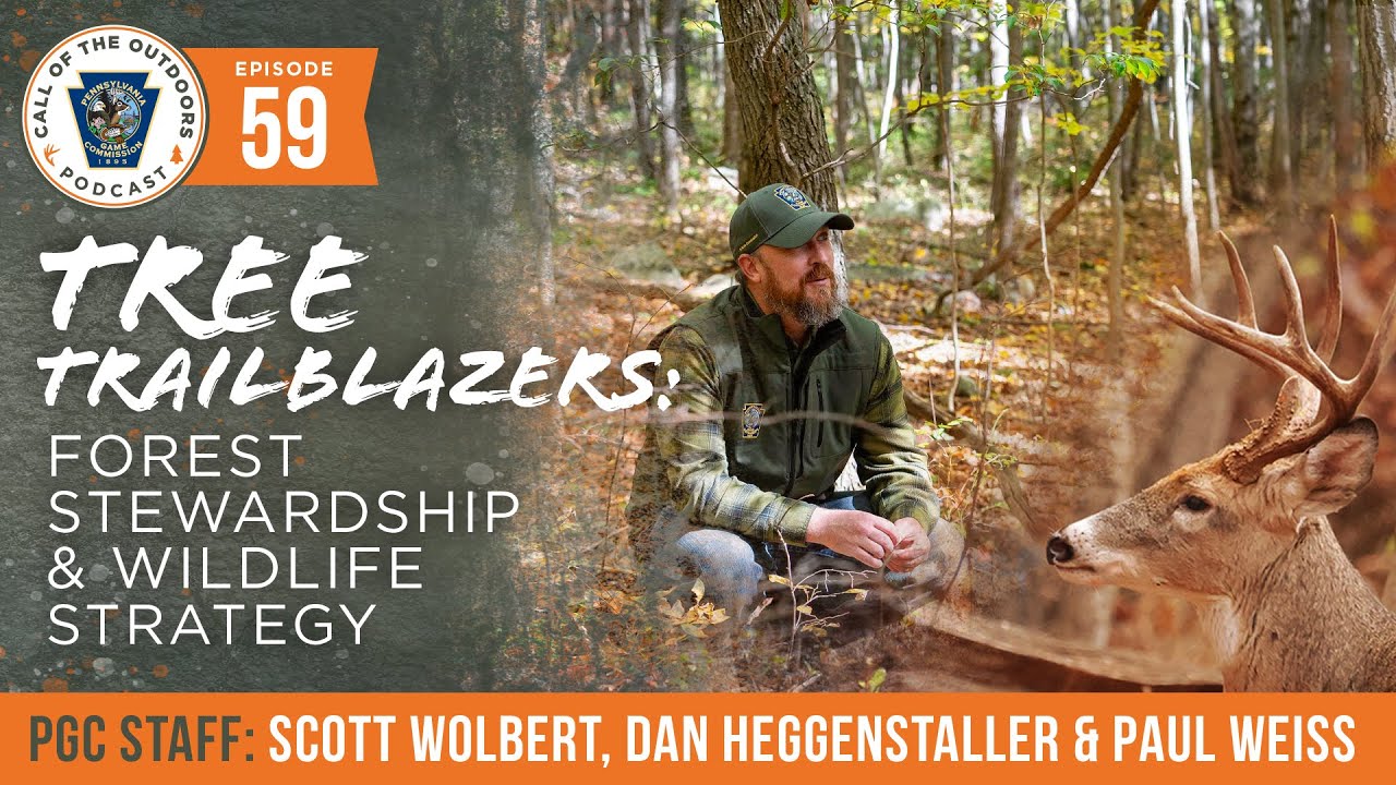 Ep. 59 | Tree Trailblazers: Forest Stewardship & Wildlife Strategy
