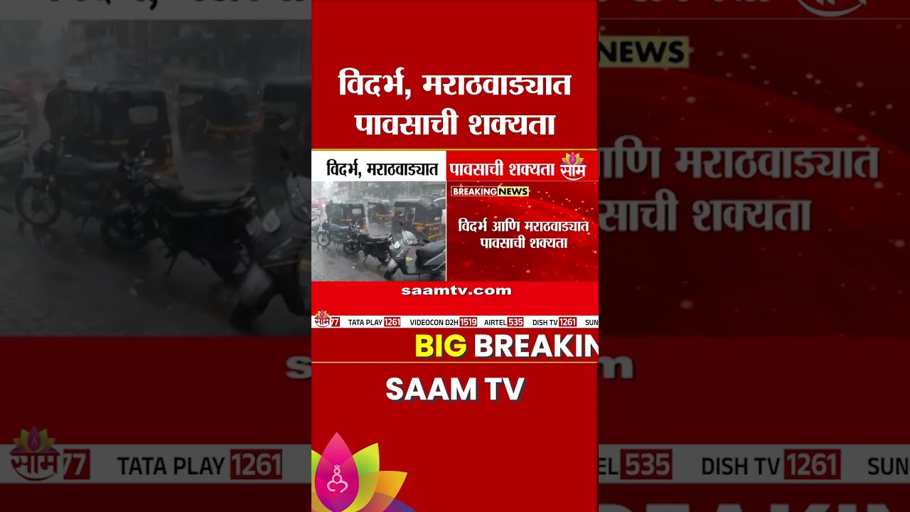 ऐन उन्हात राज्यात 'या' भागात पावसाची शक्यता | Weather Update | Rain Alert