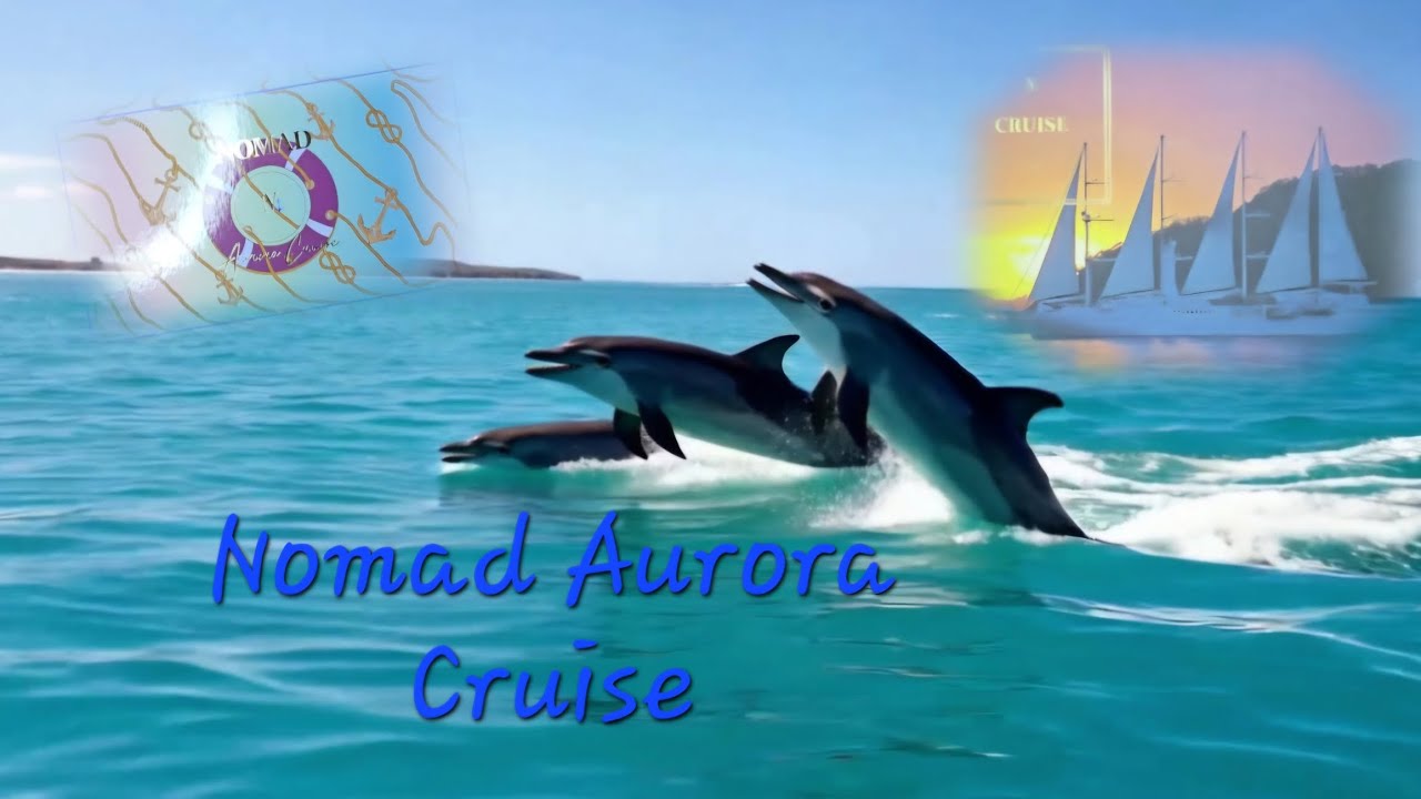 Opening the Nomad Aurora Cruise All Sparkle Palette!!!  🚢  🐋🐬🪸 🌴🦩