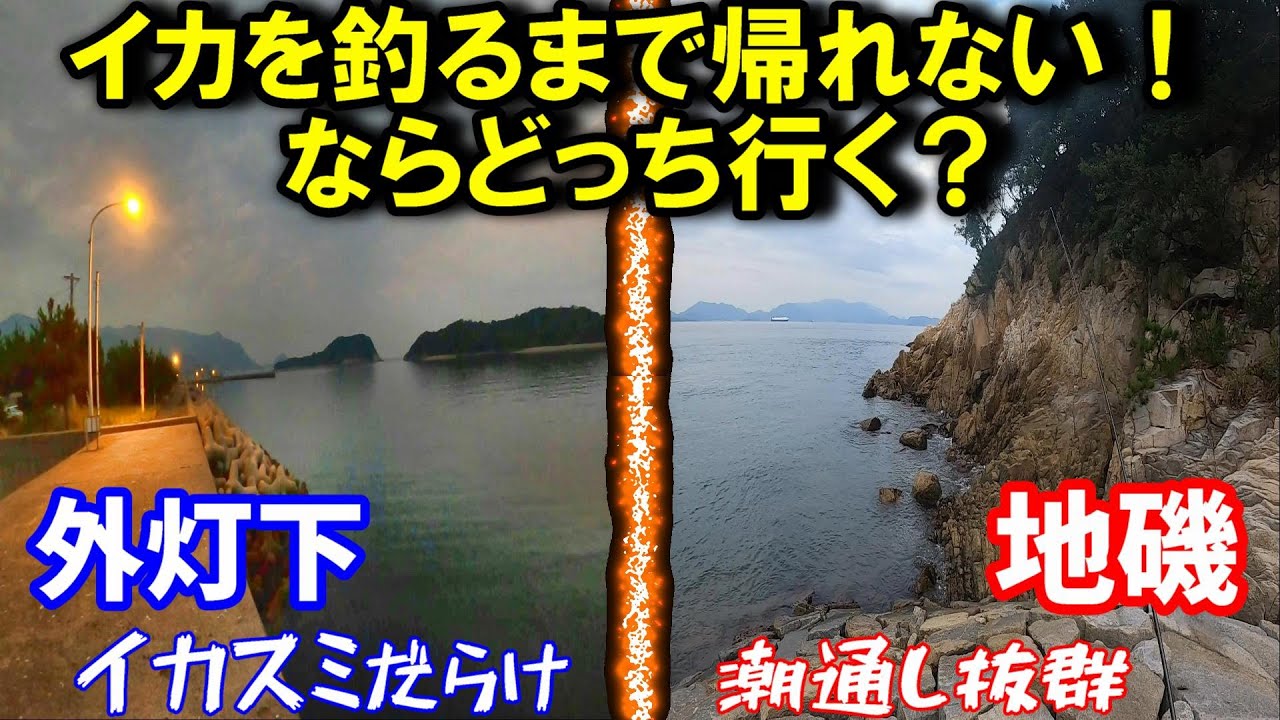 【エギング修行編】タフコンディションでもアオリイカが釣れる‼〇〇ポイントとは⁉