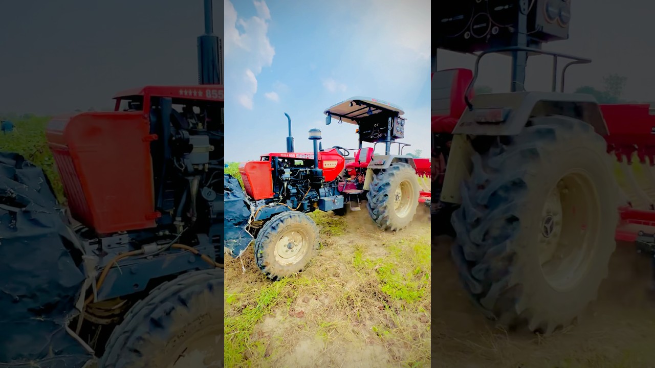 💀Swaraj Jhota❤️ 