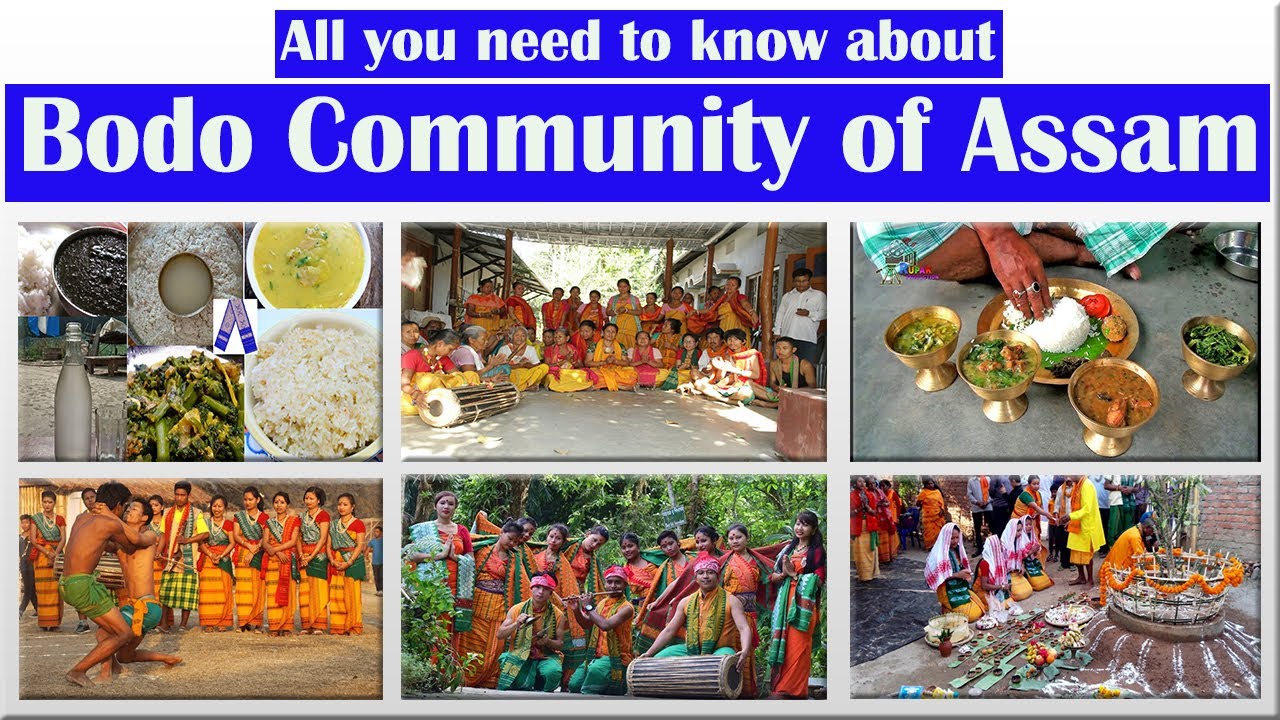 History of Bodo Community | Untold facts | In-depth analysis #bodocommunity #assam #bodoland #btr