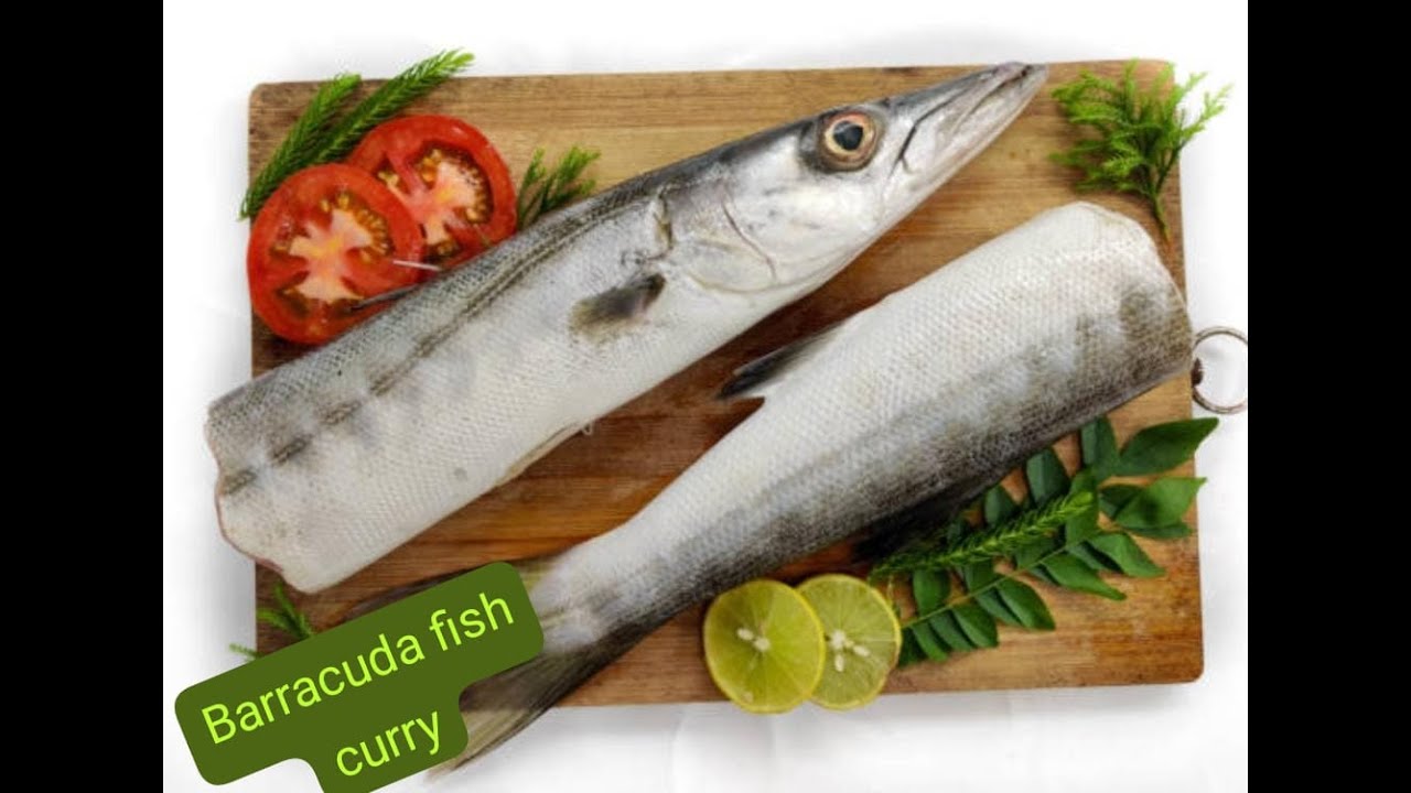 barracuda fish curry, Kandai fish curry, Kandai Meen masala