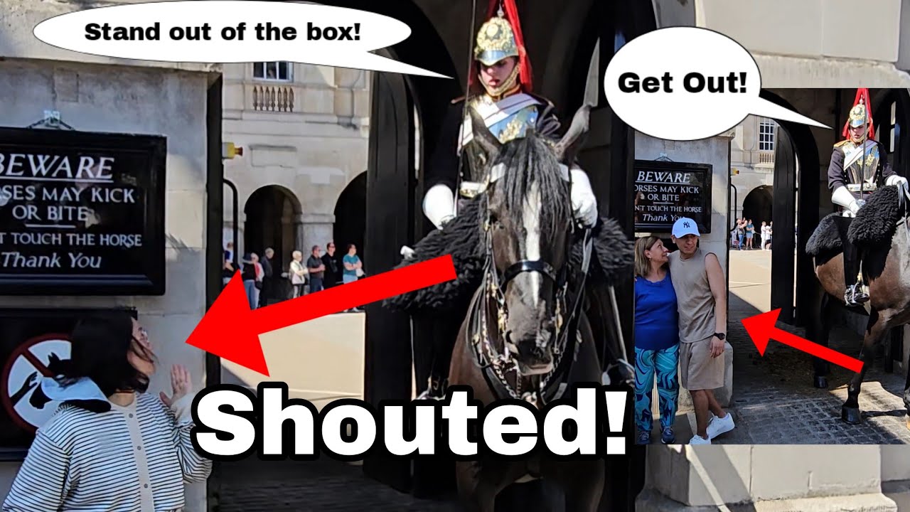 OMG, nobody's listening! King's Guard has had enough with these rude and disrespectful tourists!
