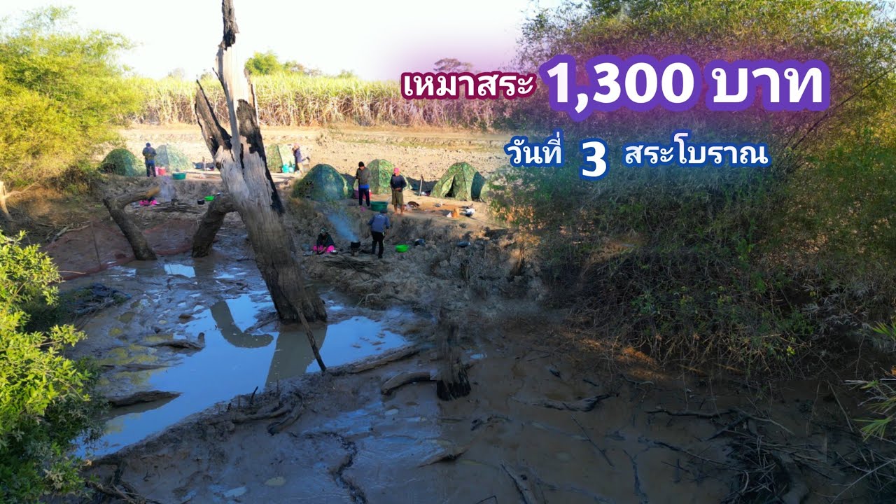 เหมาสระ 1,300 บาท สระโบราณ จุดที่ 3 ปลาทั้งอ่าว มารวมกันตรงนี้ / บ้านนอก EP.848