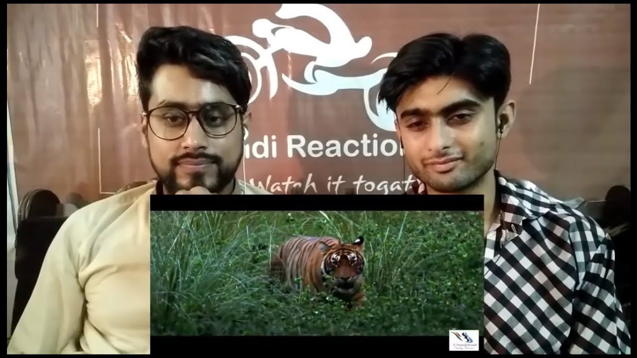 Pakistani Reaction To | Uttarakhand Tourism | PINDI REACTION |
