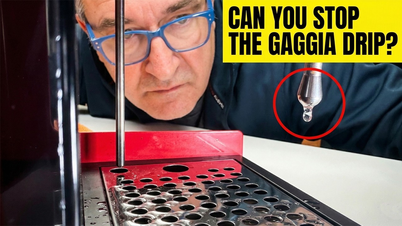 Gaggia Classic E24 Surgery: Stopping the Steam Valve Leak