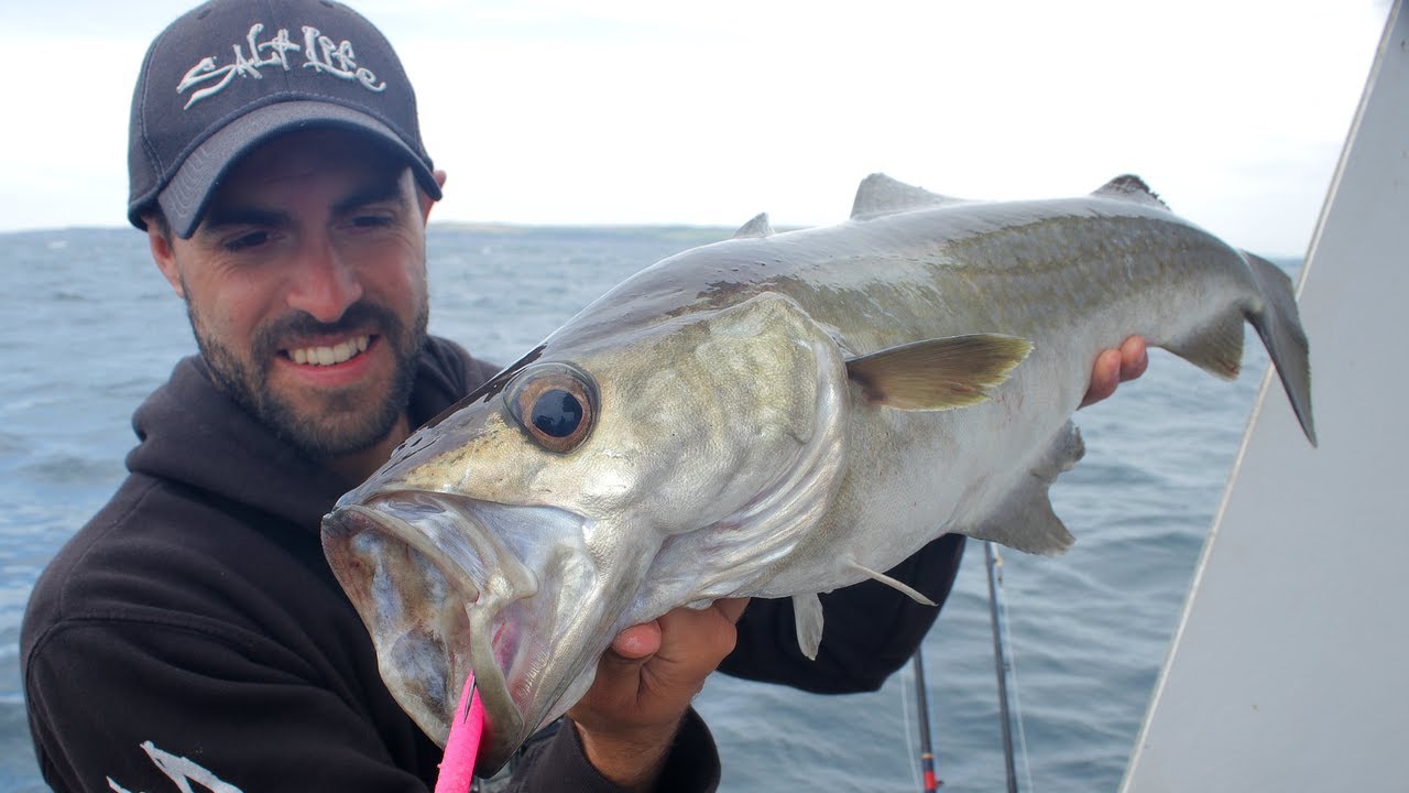 SO MANY FISH!! Epic Reef & Wreck Fishing with Lures!!