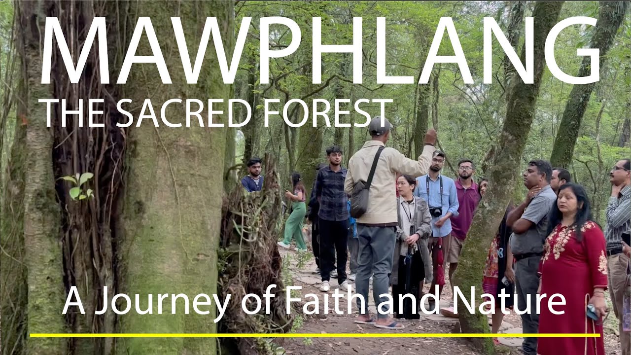 MAWPHLANG II Sacred Forests II #Shillong II #Meghalaya #शिलांग #मेघालय