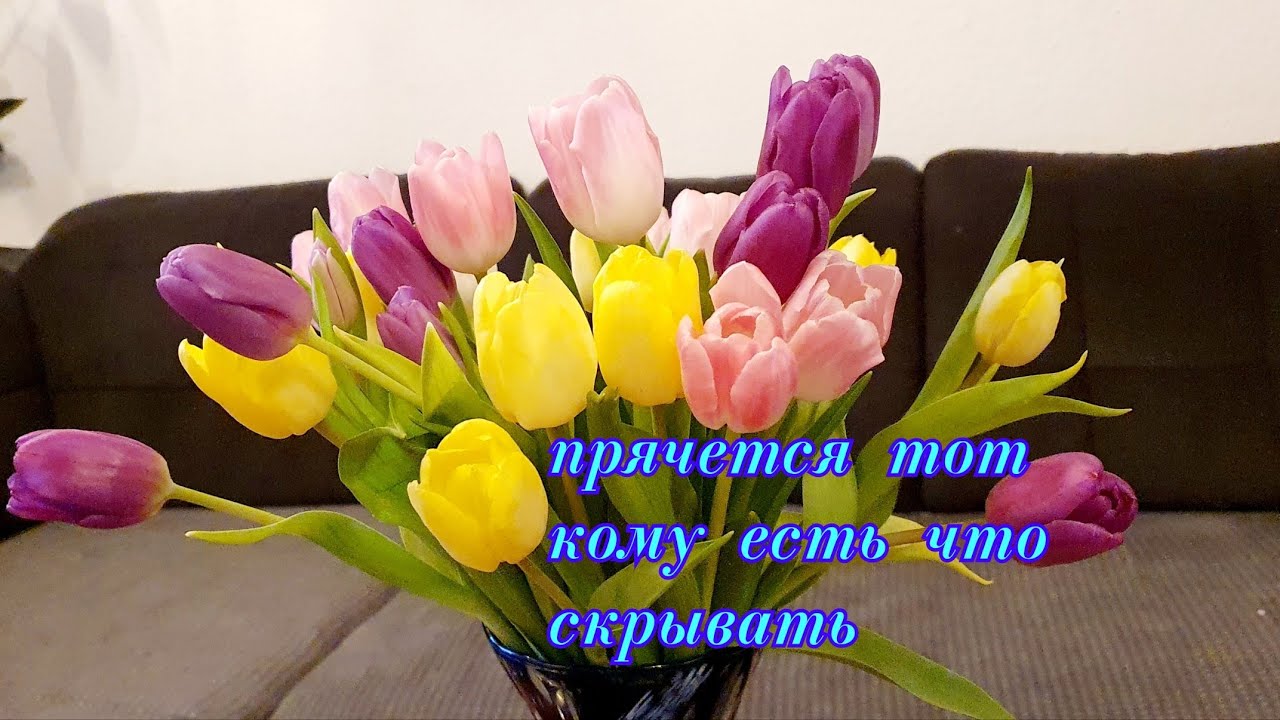 НЕ ЗНАЮ КТО ПОДАРИЛ но приятно / СОБИРАЮ ЛАВОЧКУ / ЗАБЫЛА ПОСАДИТЬ ЛУК /