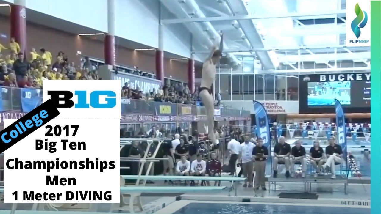 2017 Mens 1 Meter Diving Competition - College Diving - Big Ten Diving Championships