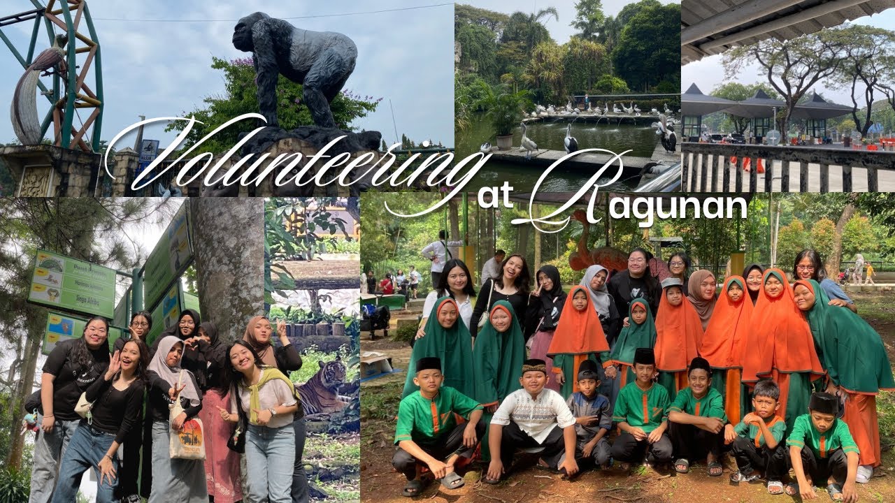 More Than Just a Zoo — My Volunteering Experience