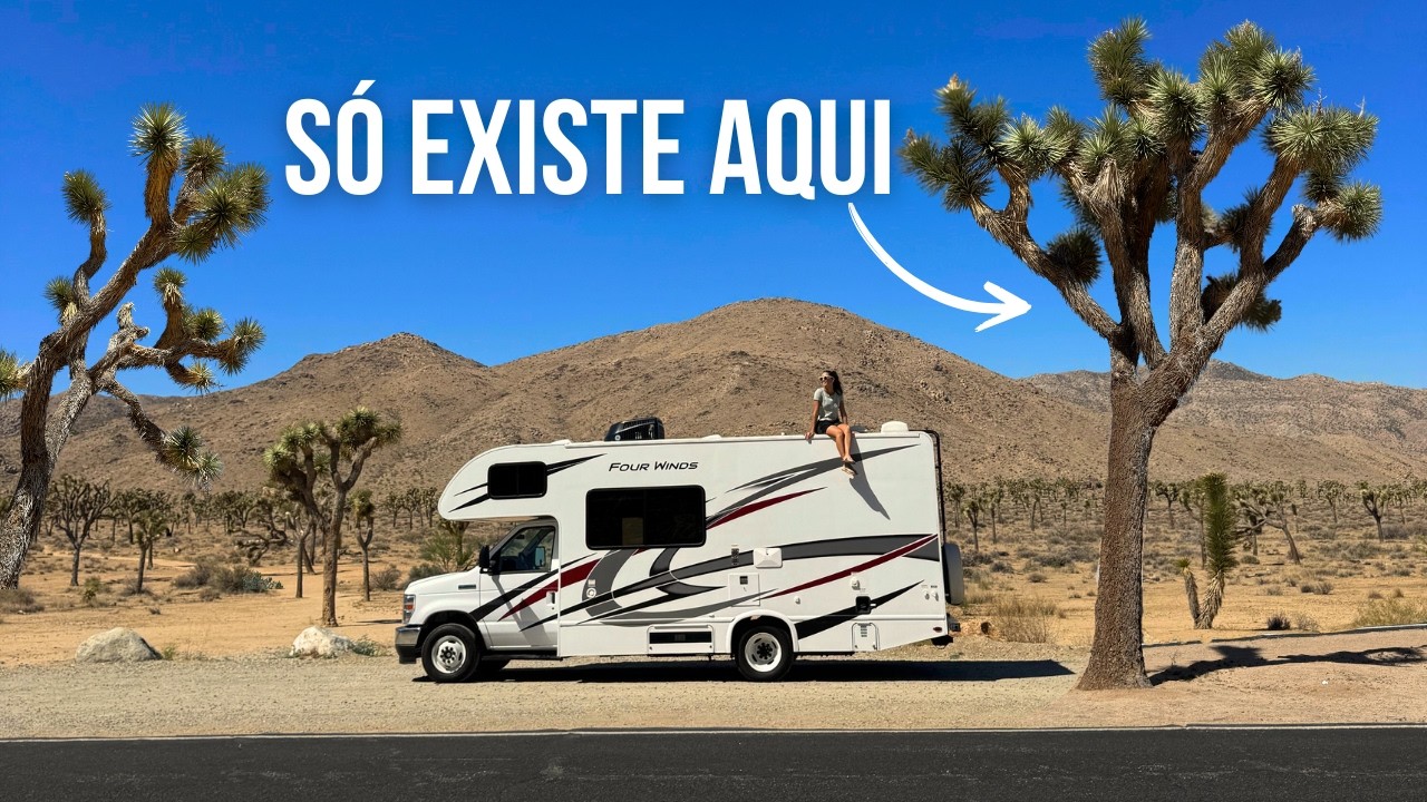 Joshua Tree National Park: Roteiro de 1 Dia no Deserto da Califórnia