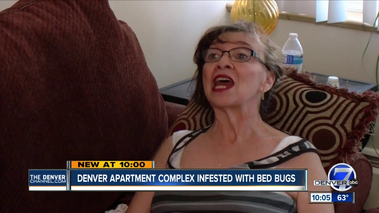 Bed bugs take over a Denver woman's apartment