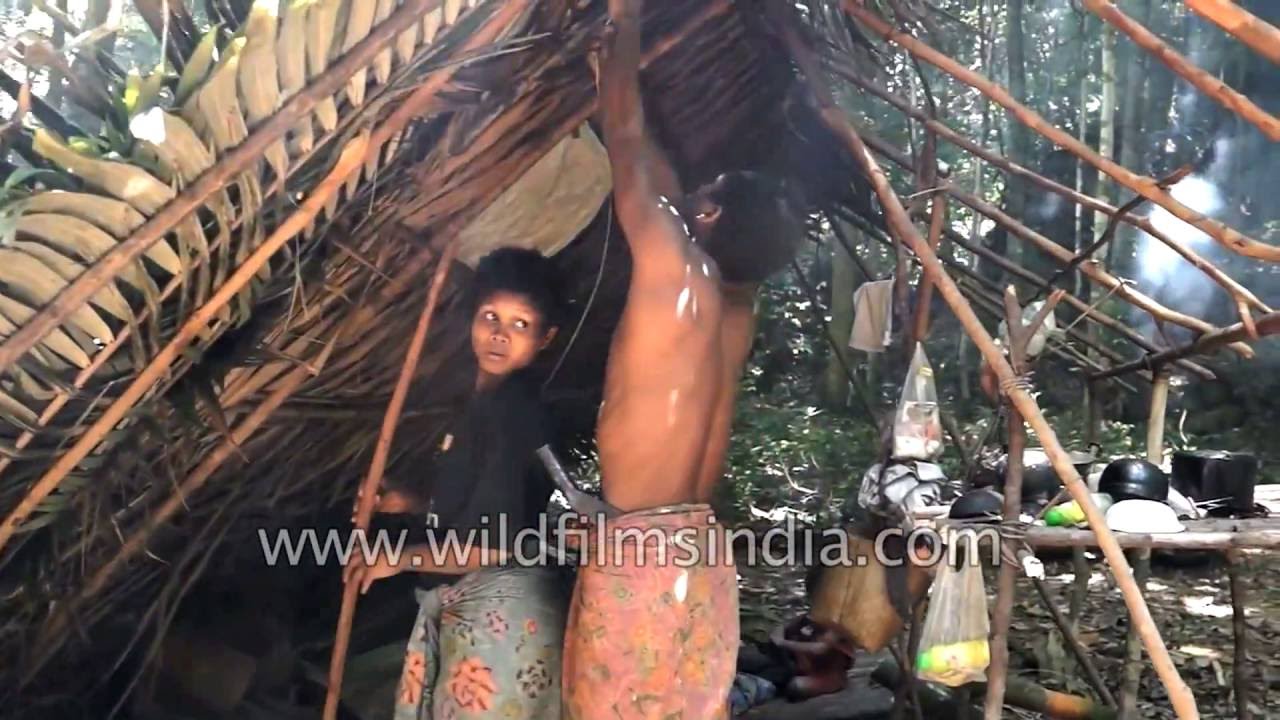 Maniq - the last hunter-gatherer negrito people in Thailand