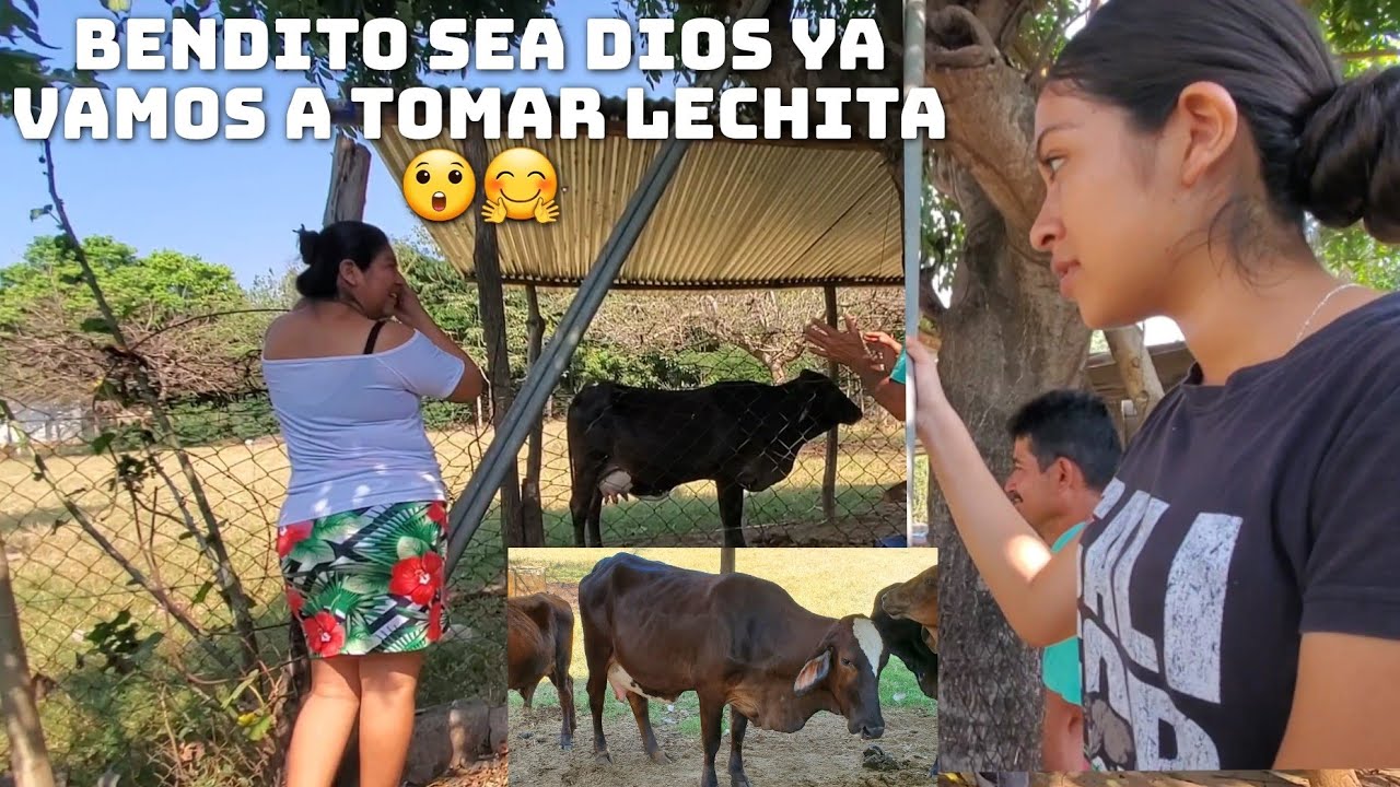 🔴Así Empieza La Vaquita🐄Con Sus Sintom4s De Part0 Primero Dios Ya Vamos A Tomar Lechita🤗