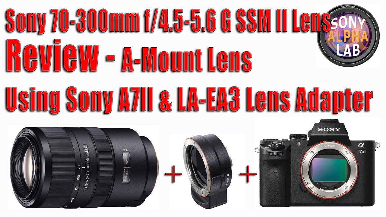 Sony 70-300mm G SSM II Lens Review Using Sony A7II Via LA-EA3 Lens Adapter