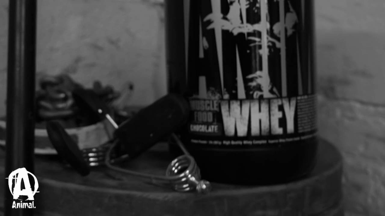 ANIMAL WHEY: 