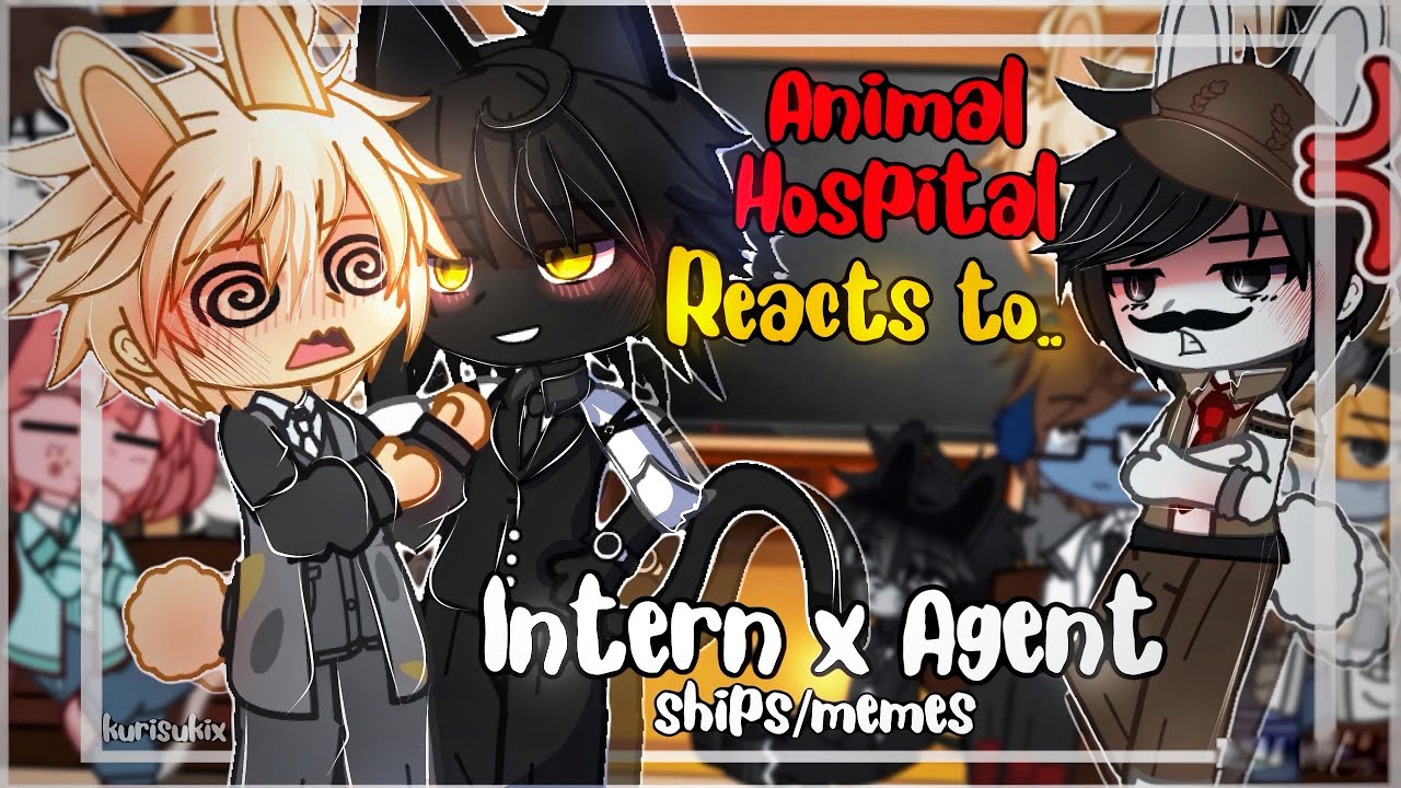 Animal Hospital React To Intern x Agent | ANOMALY AU | 2x Speed | Gacha Club