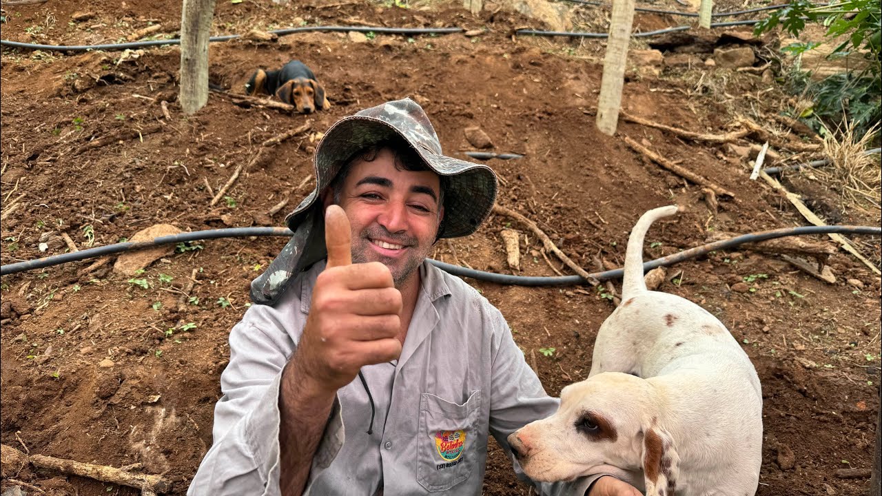 Como preparar a terra para plantar pitaya.
