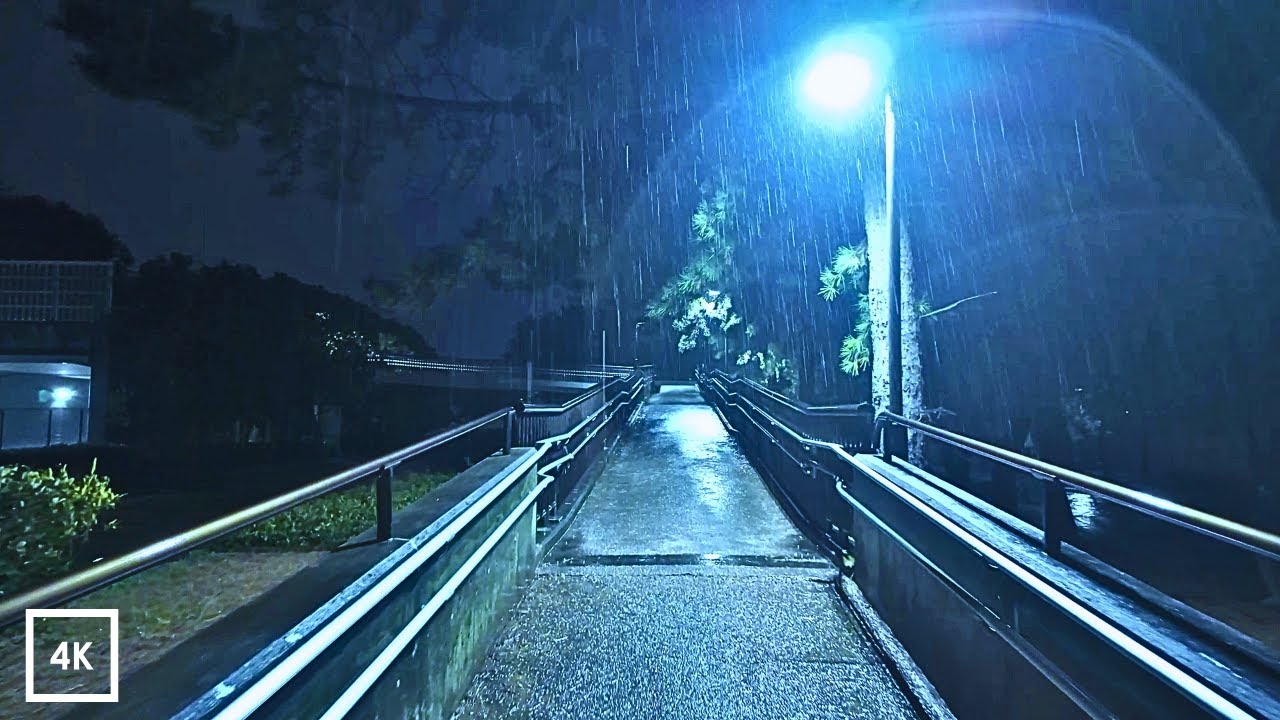 【4K Walk】Rainy Night Walk in Nishijin & Momochihama, Fukuoka｜4K 60fps｜Ambient Sounds Only
