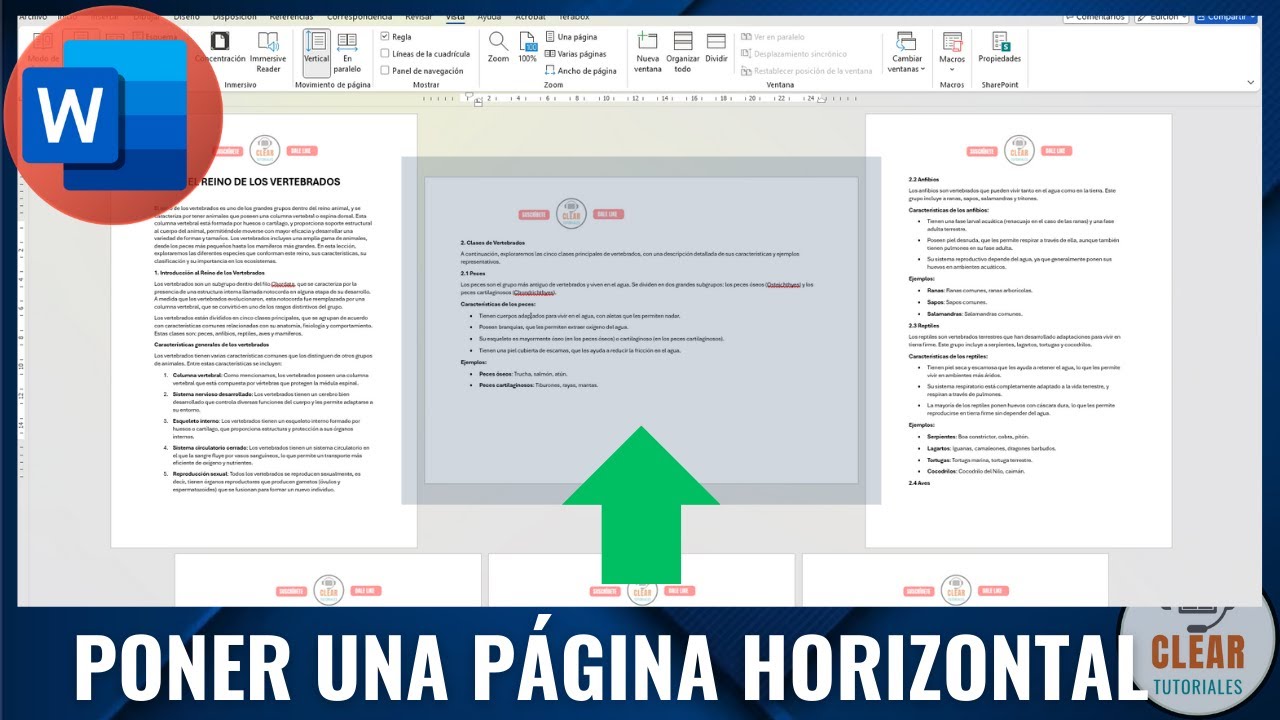 📄 Como Poner Una Sola Página en Horizontal en Word Sin Afectar al Resto del Documento ✍️ | Tutorial