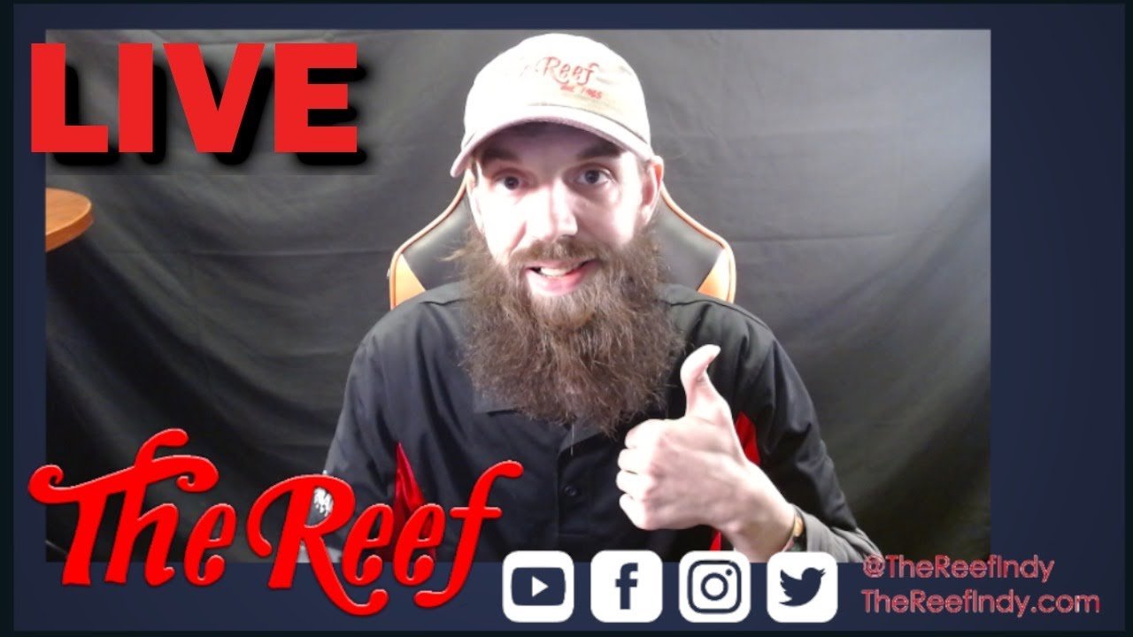 THE REEF LIVE Q&A | Let's talk about the new shipments this week!