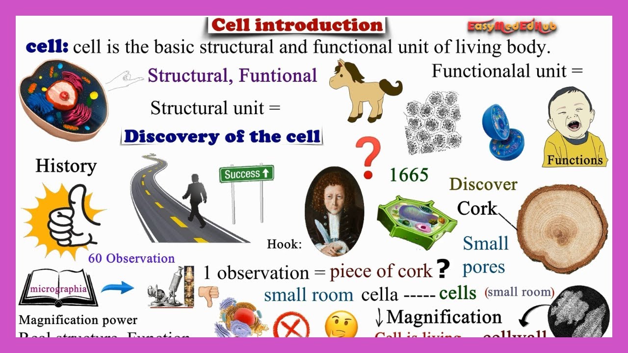 Cell structure and functions | Cell Theory & History in Urdu | Cell Biology | EasyMedEdHub