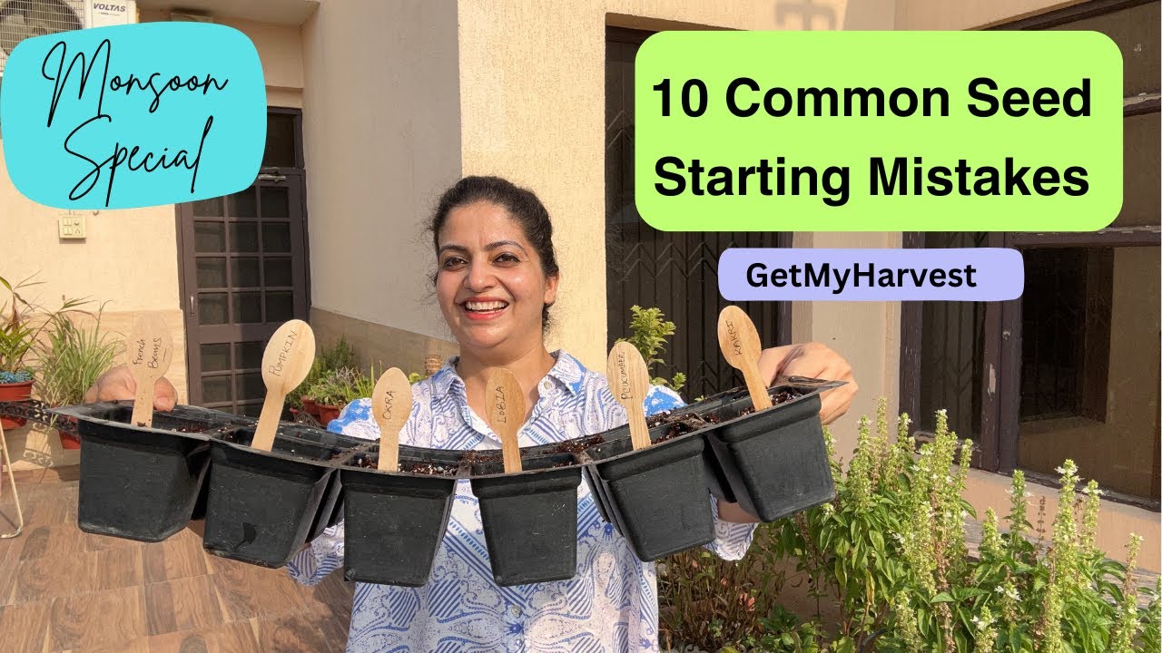 Seeds to grow in Monsoon | Avoid these 10 mistakes #GetMyHarvest