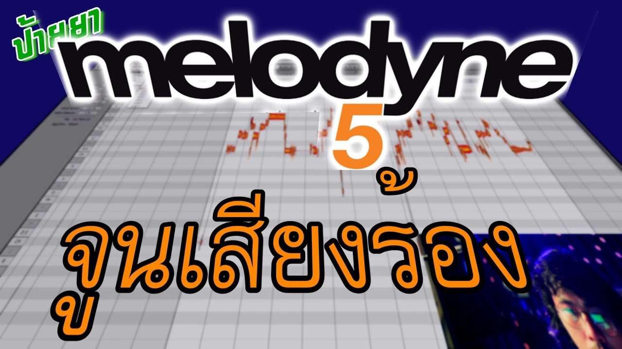 ป้ายยา [ MELODYNE 5 ASSISTANT ]