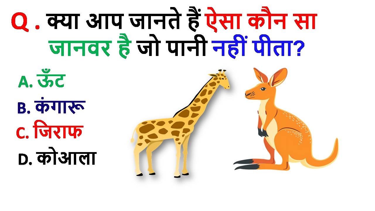 GK Question !! GK In Hindi !! GK Question and Answer !! GK Quiz !! Mindmitrgk